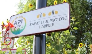 Panneau "J'aime et je protège les abeilles"