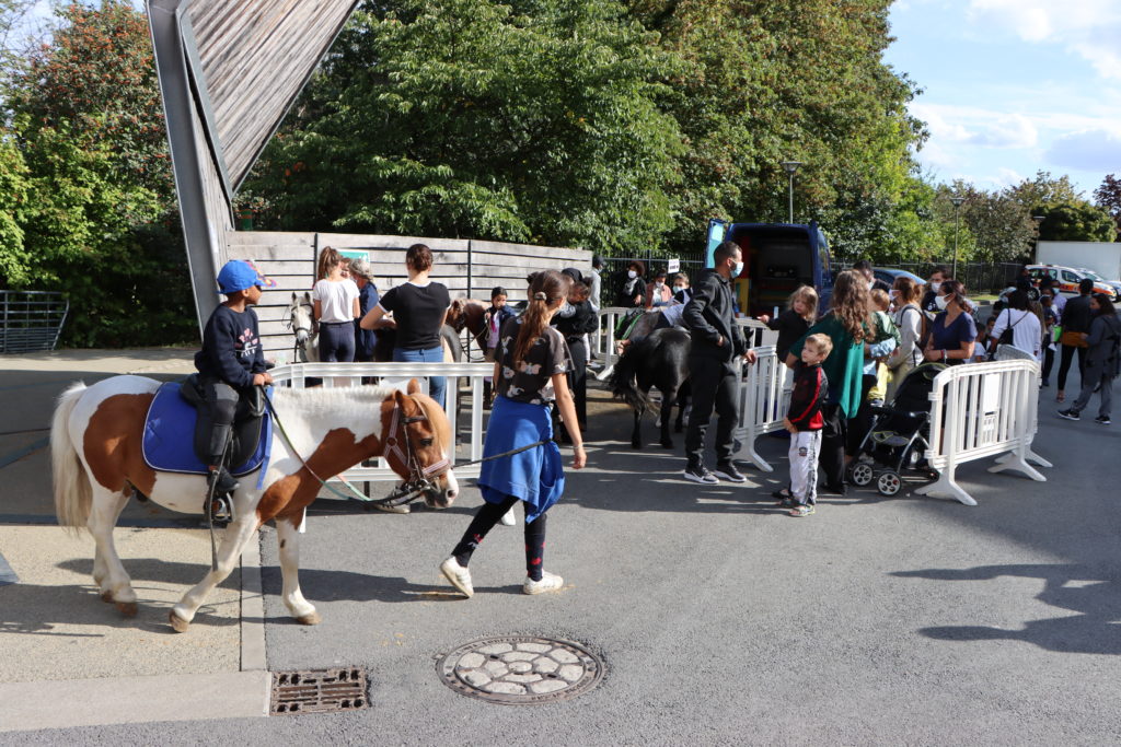 Balade en poney à Montfermeil