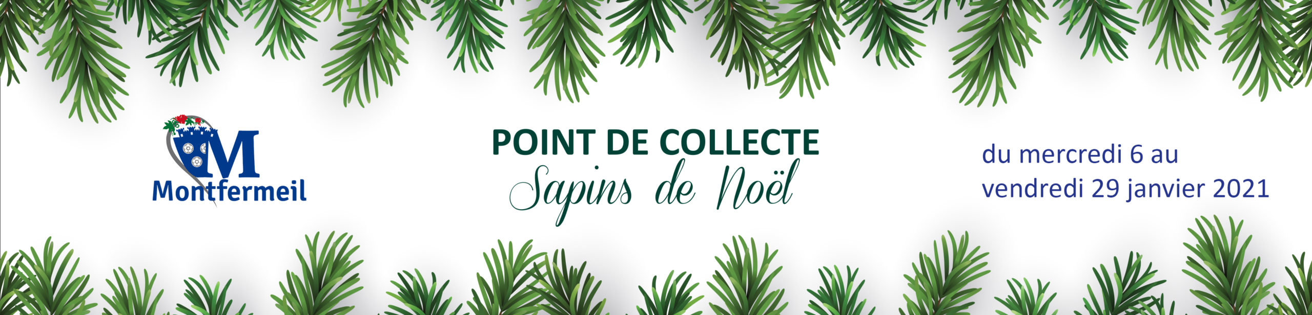 Ramassage de sapins