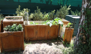 Vieux meubles fleuris dans un jardin