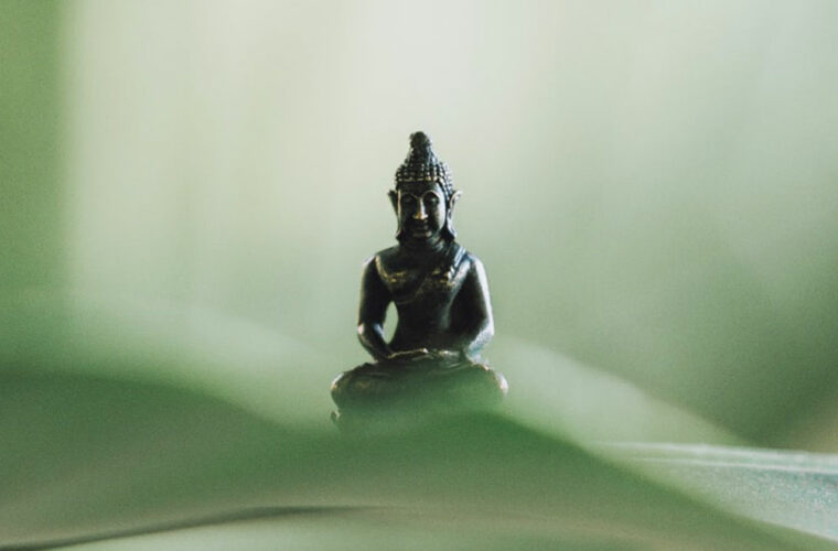 Café sophrologique – Booster son énergie au cœur de l&rsquo;hiver