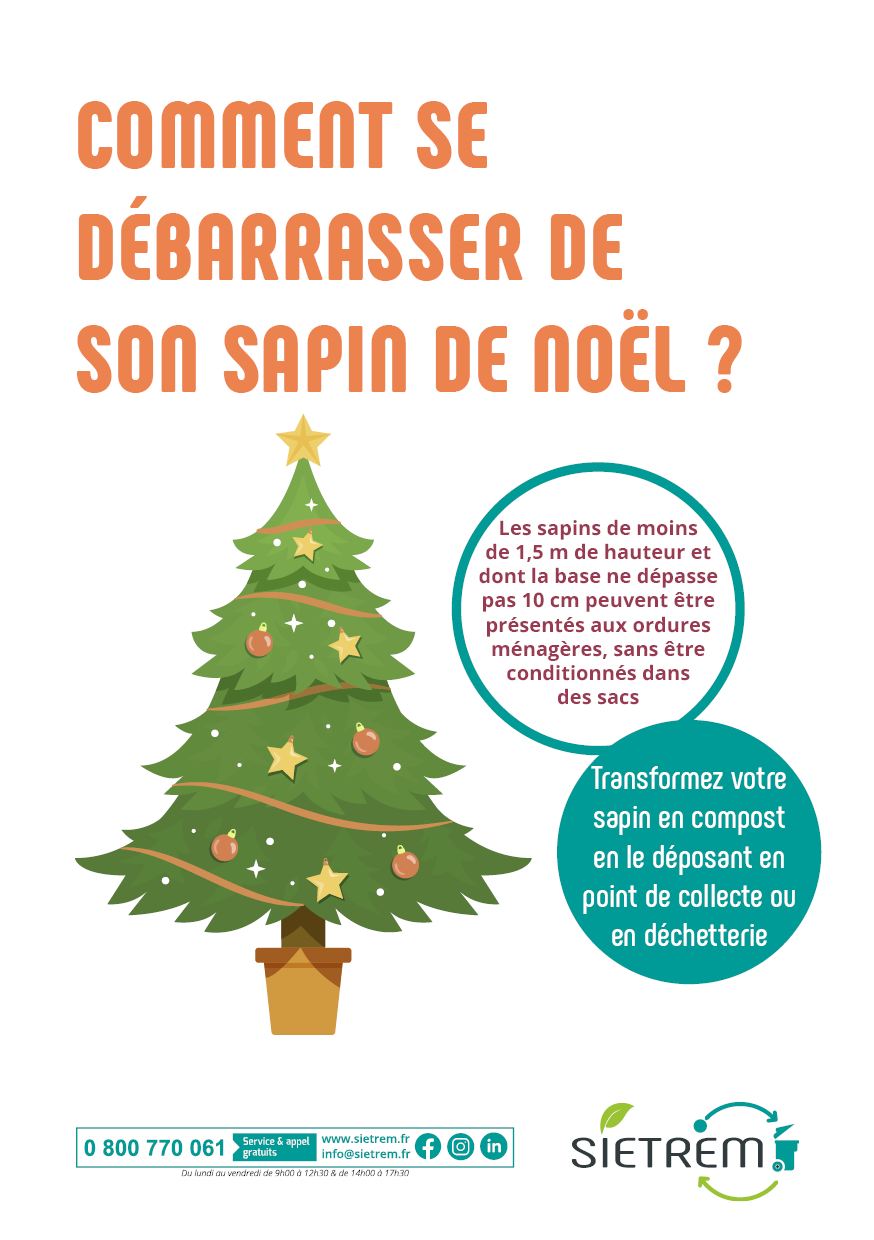 Ramassage gratuit des sapins de Noël