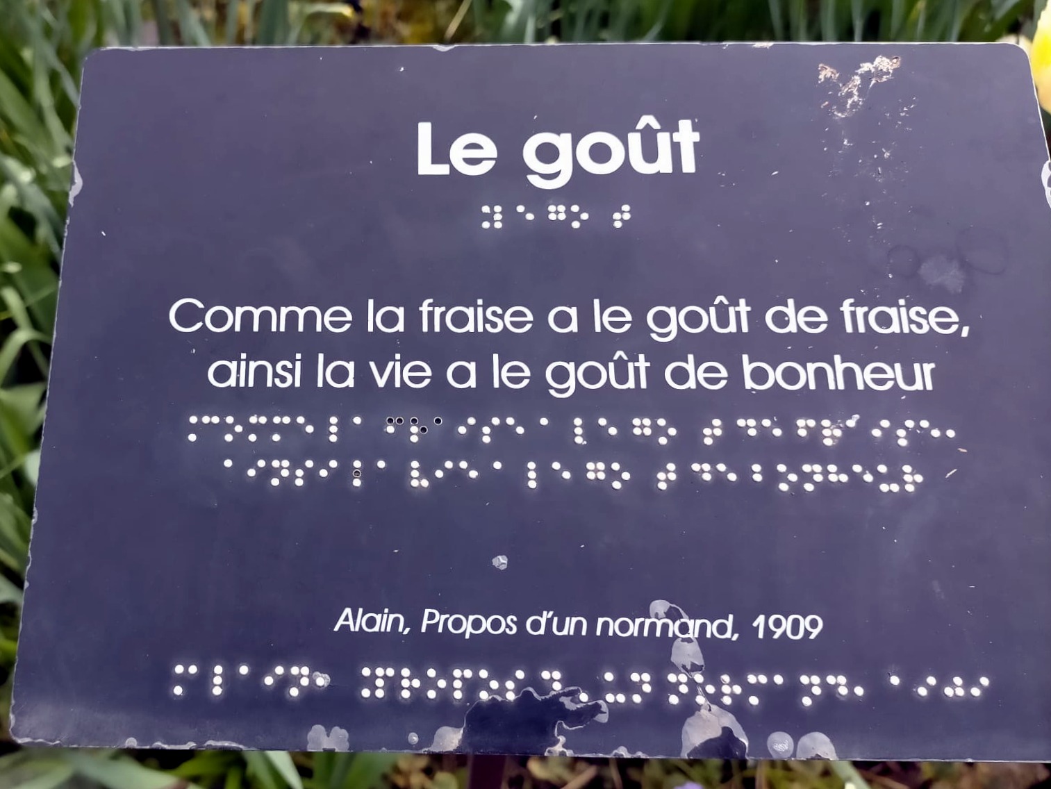 Journée autour du handicap avec le centre de loisirs Hergé