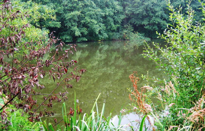 Retrait des poubelles en forêt régionale de Bondy