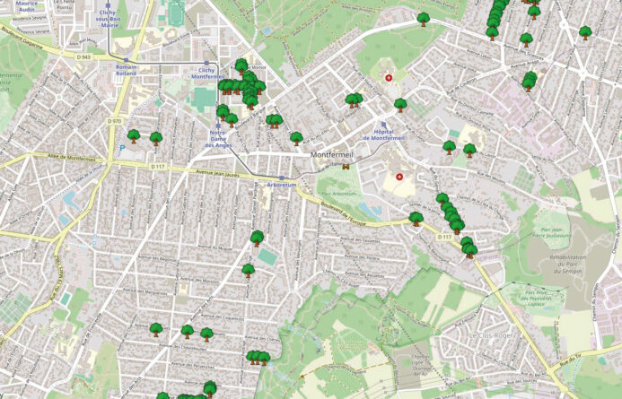 Replantation d’arbres sur la ville