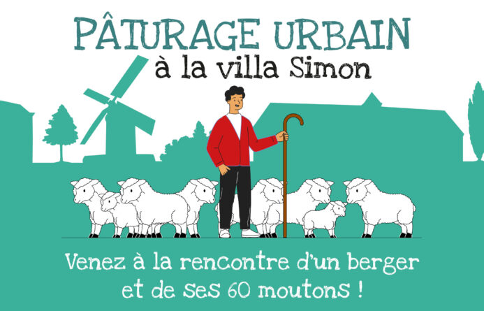 Des moutons à Montfermeil